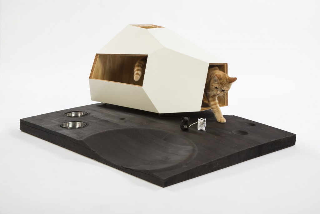 Knowhow Shop - Lunar Cat Lander