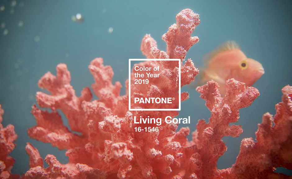 living coral